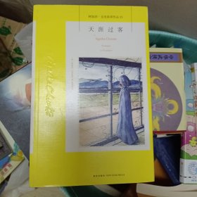 天涯过客：阿加莎·克里斯蒂侦探作品集13