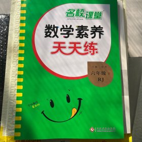 名校课堂数学素养天天练六年级数学下册人教版