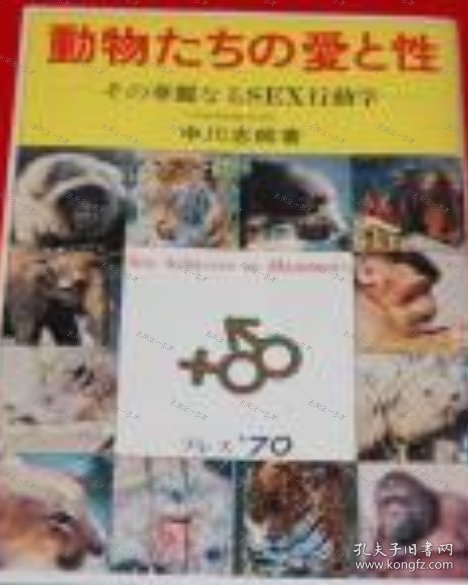 价可议 动物 爱 性 华丽 行动学 nmwxhwxh 動物たちの愛と性　その華麗なるSEX行動学