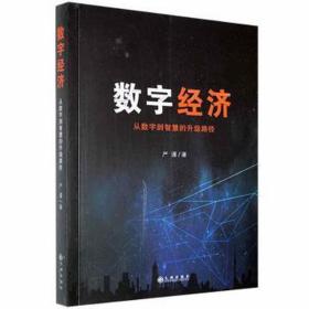 数字经济:从数字到智慧的升级路径 财政金融 严谨 新华正版