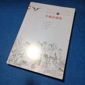 谍战连环画系列. 穿越封锁线