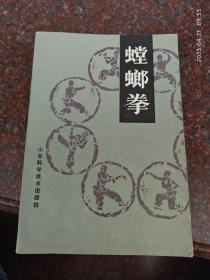 螳螂拳 王洪发 87年 85品 武术书籍 武功类书籍1-2