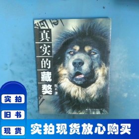 真實的藏獒