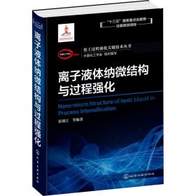 化工过程强化关键技术丛书离子液体纳微结构与过程强化