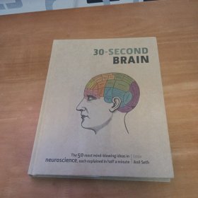 30--SECOND BRSIN 30秒大脑（英文）
