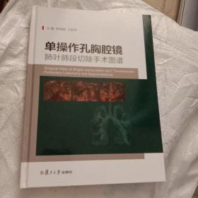 单操作孔胸腔镜肺叶肺段切除手术图谱