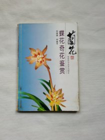 兰花蝶花奇花鉴赏