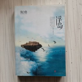 浮岛：蔡康永鼎力推荐“一部特别的小说” 浅白色蜕变之作