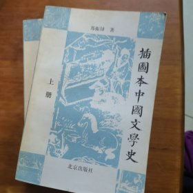 插图本中国文学史（上、下册）（放24号位）