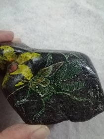 手绘卵石蚱蜢
