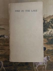 FIRE IN THE LAKE