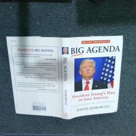 Big Agenda 重大议程