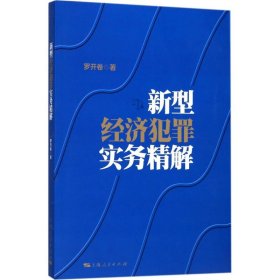 新型经济犯罪实务精解