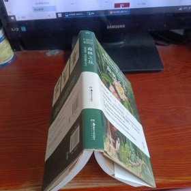 森林之花：玛格丽特·米的植物学笔记