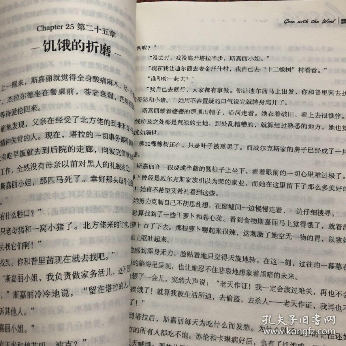 飘 中小学生课外阅读书籍世界经典文学名著青少年儿童文学读物故事书名家名译原汁原味读原著