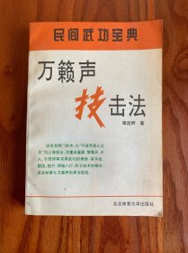 民间武功宝典_万籁声技击法