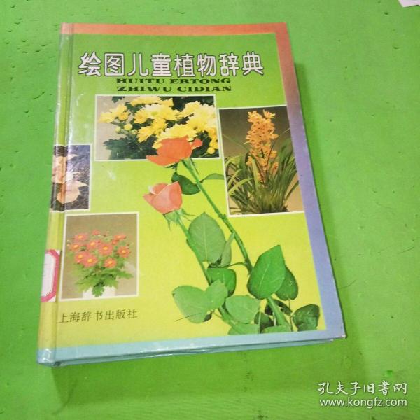 绘图儿童植物辞典