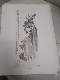 吴昌硕画集（册页12张全）海派大师