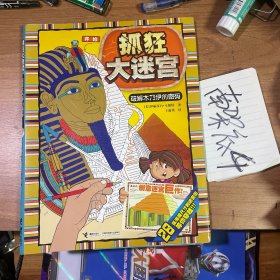抓狂大迷宫：破解木乃伊的密码