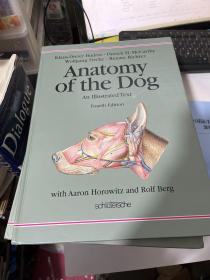 ANATOMY OF THE DOG