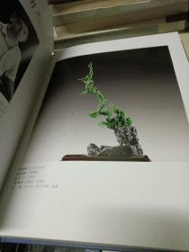 2018中国玉石雕刻评选获奖作品集:陆子冈杯