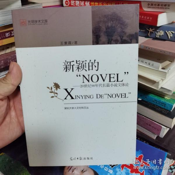 新颖的“NOVEL“：20世纪90年度长篇小说文体论