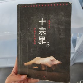 十宗罪5：中国十大凶杀案