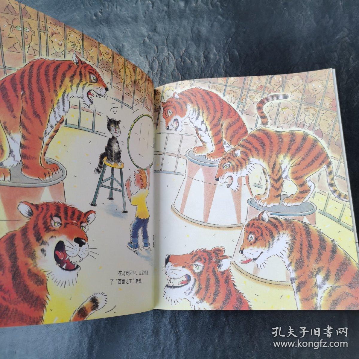 贝尼都会干什么