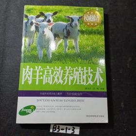 肉羊高效养殖技术