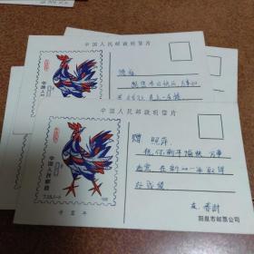 中国人民邮政明信片8分1张＜阳泉市邮票公司＞（鸡）