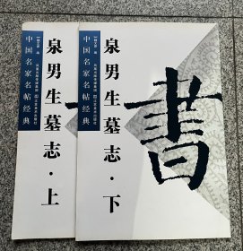 中国名家名帖经典·泉男生墓志上下册 放大版