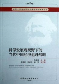 科学发展观视野下的当代中国经济追赶战略