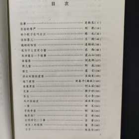 21世纪年度小说选：2001短篇小说