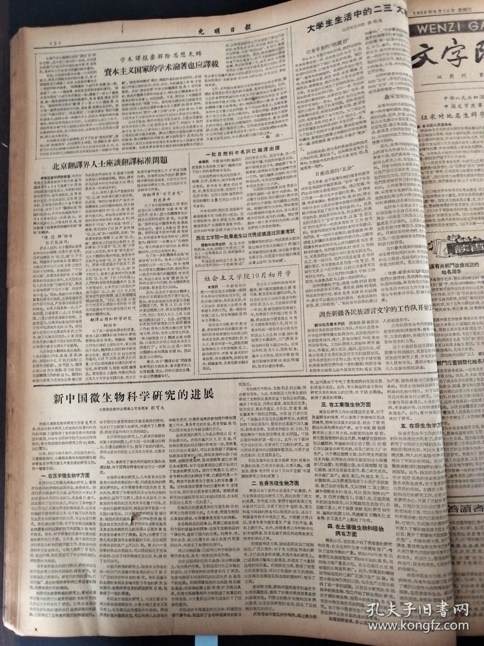 光明日报1956年8月15日上海美术馆国画家姚虞琴商笙伯宋庆龄山东师范学院张瑞绂中国微生物学会理事会常务理事郭可大陈东平高维普