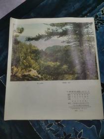 宁夏画报（试刊号）