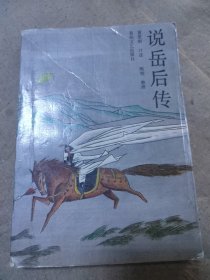 说岳后传