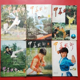 中华武术6本合售（1982年1+1983年4+1984年2+985年1.3+1987年8）精武5本合售（191983年3+1984年1+1985年1+1988年1+1989年1）总计11本合售