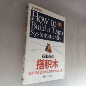 我来教你搭积木：500强企业的团队系统化构建之道