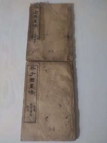 民国芥子园画谱，初集，(一到三卷)两本