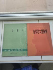 小骑兵，仇恨怒火燃胸怀 （两册合售）上海人民出版社