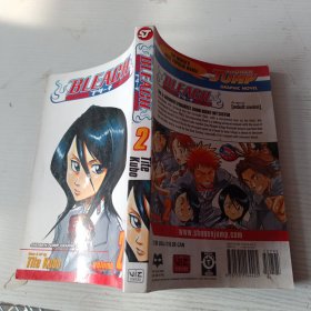 Bleach, Vol. 2