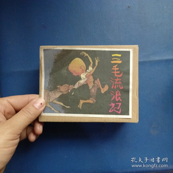 三毛流浪记（连环画）10册全