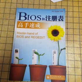 BIOS和注册表高手速成