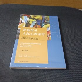 抑郁症的人际心理治疗：理论与案例实践