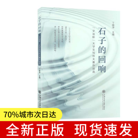 石子的回响