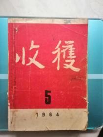 收获1964.5