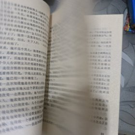 爱的寻求 乔治桑的一生