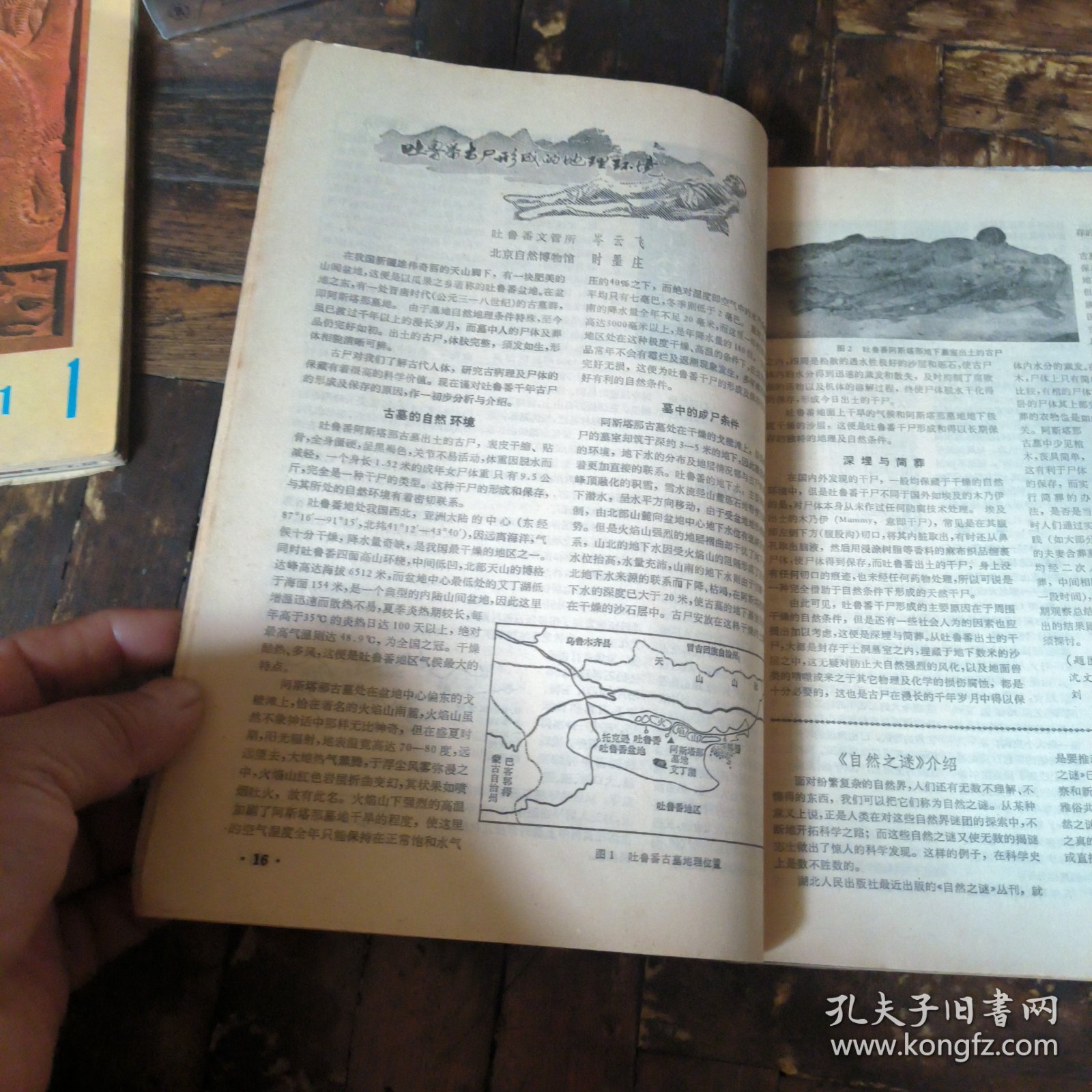 化石1982年1~4期（季刊，全年合售）