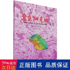 复杂油气田文集(2020年第4辑) 能源科学 编者:董月霞|责编:金阳