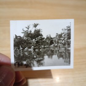 老照片–男子站在景区池中石头上留影（身后假山清晰可见）